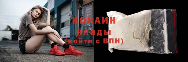 ПСИЛОЦИБИНОВЫЕ ГРИБЫ Баксан
