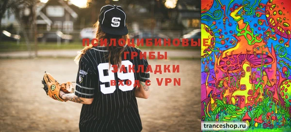 ПСИЛОЦИБИНОВЫЕ ГРИБЫ Баксан
