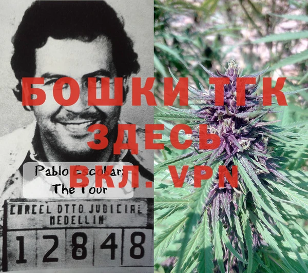 СК Ельня